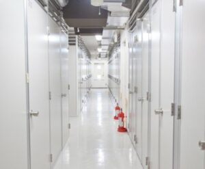 トランクルームでカビが生える?対策はある?